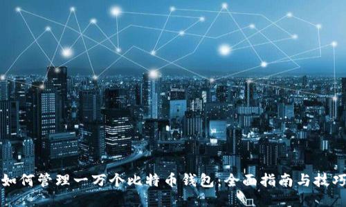 如何管理一万个比特币钱包：全面指南与技巧